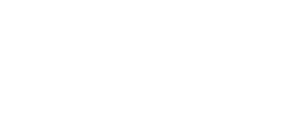 Партнёр PYX Studio — компания Niyat